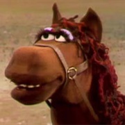 Fred the Wonder Horse