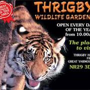 Thrigby