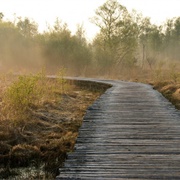 De Groote Peel National Park