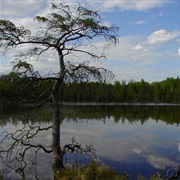 Lake Bemidji State Park, Minnesota