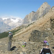 Burgess Highline Trail