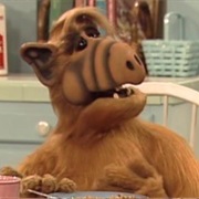 Alf