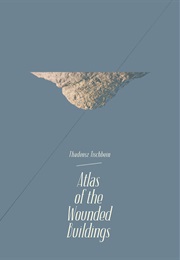 Atlas of the Wounded Buildings (2016)