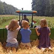 Go on a Hayride