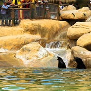 Friguia Park, Tunisia