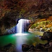 Springbrook National Park (QLD)