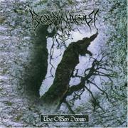 Borknagar - The Olden Domain