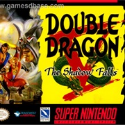 Double Dragon V: The Shadow Falls
