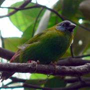 Gadgarra National Park (QLD)