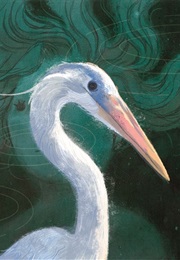 The Shape of My Name (Nino Cipri)