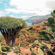 La Palma, Canary Islands, Spain