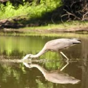 Lake Odessa Water Trail
