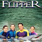 Flipper