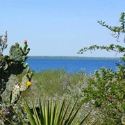 Falcon State Park, Texas