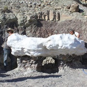 Jurassic National Monument