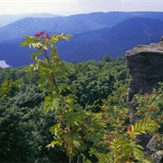 Poloniny National Park