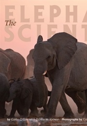 The Elephant Scientist (Caitlin O'Connell)