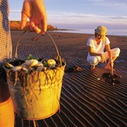 Clam Dig & Bake in Canadian Maritimes