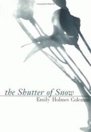 The Shutter of Snow (Emily Holmes Coleman)