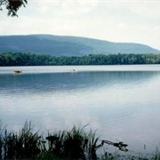 Big Pocono State Park (Monroe County)