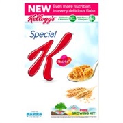 Kelloggs Special K