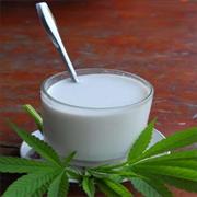 Hemp Milk