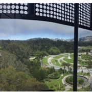 Deyoung Museum-Observation Tower