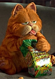 Garfield, Garfield (2004)