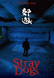 Stray Dogs (2013)