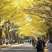 Visit Sapporo, Japan