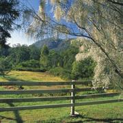 Crows Nest National Park (QLD)