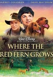 Where the Red Fern Grows