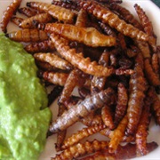 Mezcal Worm