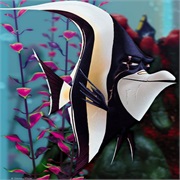 Gill (Finding Nemo)