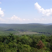 Rothrock State Forest, Pennsylvania