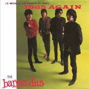 The Barracudas