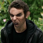 Reinigen - Rat Wesen