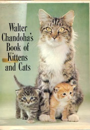 Walter Chandoha's Book of Kittens and Cats (Walter Chandoha)