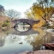 Gapstow Bridge, New York