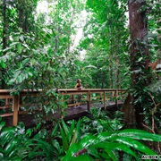 Transcontinental Rainforest Trek, Costa Rica