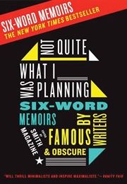 Not Quite What I Was Planning (Rachel Fershleiser)