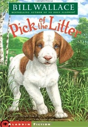 Pick of the Litter (Bill Wallace)