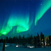 The Northern Lights