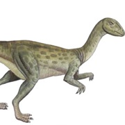 Fabrosaurus