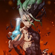 Dr. Stone