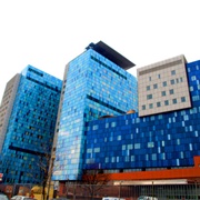 Royal London Hospital