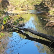Ozark Cavefish National Wildlife Refuge