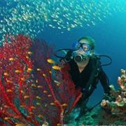 Great White Wall, Taveuni, Fiji