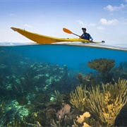 Kayaking Glover's Reef Atoll