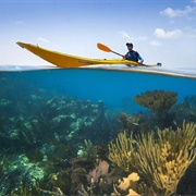Kayaking Glover&#39;s Reef Atoll
